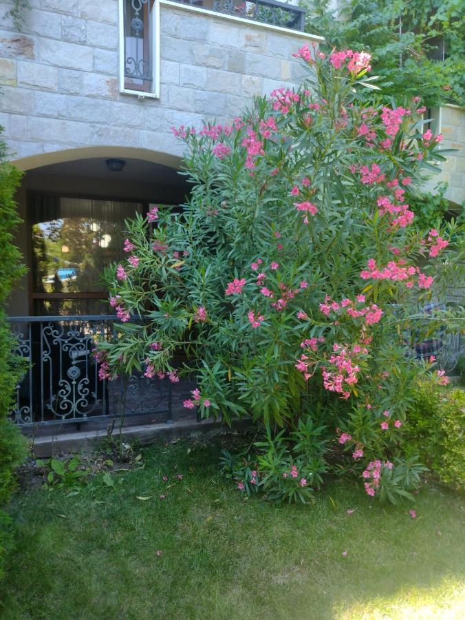 Destination Bulgaria 2000 Cascadas Private Summer Family Apartments Σάνι Μπιτς Εξωτερικό φωτογραφία